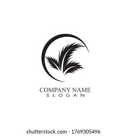 Plantilla de logotipo de verano de árbol de palma ilustración vectorial