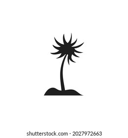Palm tree summer logo template vector illustration