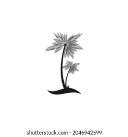 Palm-Baum-Sommerlogo-Vorlage, Vektorgrafik