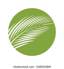 Palm tree summer logo template vector illustration