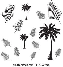 Palm tree summer vector, illustration design
