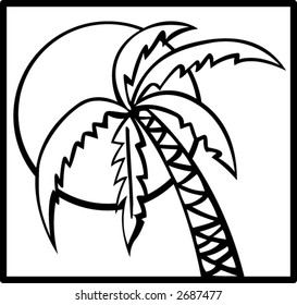 palm tree in the sun