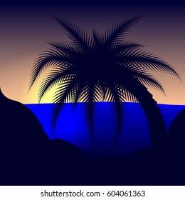 Palm tree at sunset