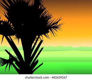 Palm tree & Sunset - Vector