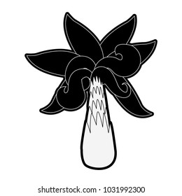 Palm tree symbol