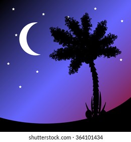 Palm tree at tropic night Vector illustration.