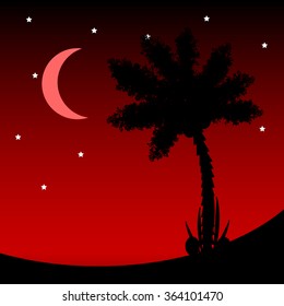 Palm tree at tropic night Vector illustration.