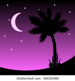Palm tree at tropic night Vector illustration.