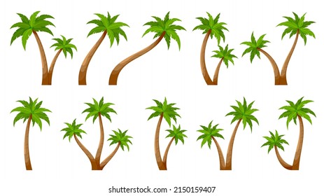Palm tree tropic plant trunk summer green flat set. Tropical trunk design element postcard travel vacations summer green plant. Forest collection unoccupied island greenery botanical isolated on white