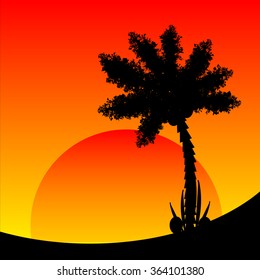 Palm tree at tropic sunset. Vector illustration.