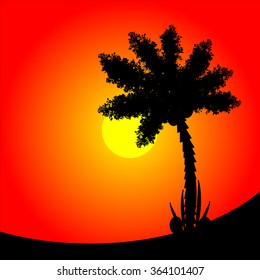 Palm tree at tropic sunset. Vector illustration.