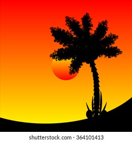 Palm tree at tropic sunset. Vector illustration.