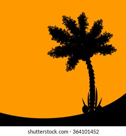 Palm tree at tropic sunset. Vector illustration.