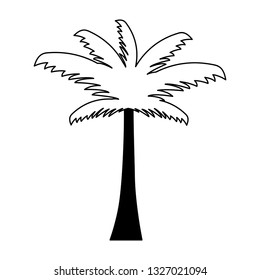 palm tree tropical