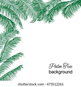 Palm tree tropical background for banner, wallpaper or design frame. Exotic leave vector illustration