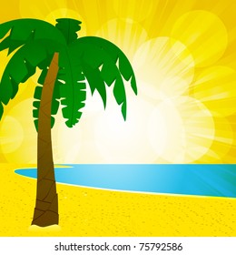 Palm tree and tropical beach with glowing summer sky