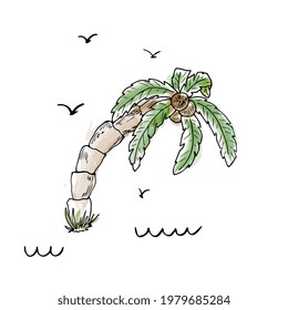 palm tree, tropical tree hand drawing sketch. For the design of cards, invitations, packaging, clothing