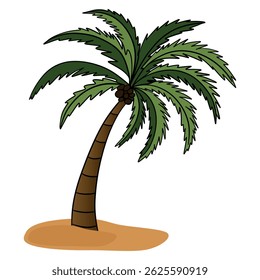Palm tree in tropical island plant beach. Summer time in paradise. Exotic flora