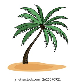 Palm tree in tropical island plant beach. Summer time in paradise. Exotic flora