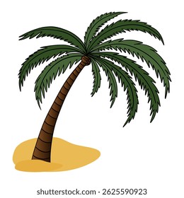 Palm tree in tropical island plant beach. Summer time in paradise. Exotic flora