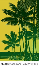  palma, árbol, tropical, naturaleza, vector de coco