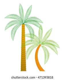 palm tree tropical nature summer beach plant icon. Colorful and isolated design. Vector illustration