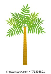 palm tree tropical nature summer beach plant icon. Colorful and isolated design. Vector illustration