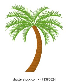 palm tree tropical nature summer beach plant icon. Colorful and isolated design. Vector illustration