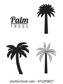 palm tree tropical nature summer beach plant icon set. Silhouette and isolated design. Vector illustration