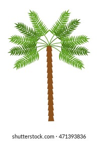 palm tree tropical nature summer beach plant icon. Colorful and isolated design. Vector illustration