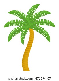 palm tree tropical nature summer beach plant icon. Colorful and isolated design. Vector illustration