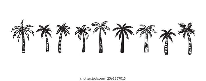 Palm tree tropical nature, vegetation doodle hand drawn icon set. Outline drawing palm tree tropical nature, vegetation line clipart symbol collection. Vector illustration