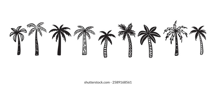 Palm tree tropical nature, vegetation doodle hand drawn icon set. Outline drawing palm tree tropical nature, vegetation line clipart symbol collection. Vector illustration