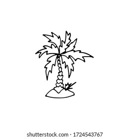 
Palm tree, tropical tree on the beach, sun protection. Isolate on a white background. Vector image in doodle style. Elements for design.