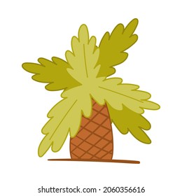 Palm tree tropical plant cartoon vector illustration on white background