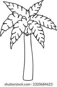 palm tree tropical tree plant nature doodle linear cartoon coloring book