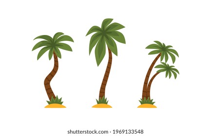 Palm Tree as Tropical Plant with Trunk Rested on Sand Vector Set