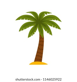 Palm tree, tropical plant vector Illustration on a white background