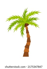 Tropische Palmenpflanze. Vektorgrafik