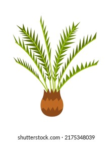 Palm Tree Tropical Plant. Vector illustration