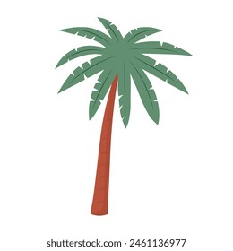 Palm tree. Tropical plant. Vector illustration isolated on white background.