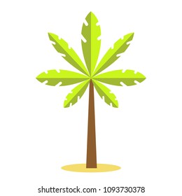 Palm tree / tropical plants isolated on white background for site header, footer, web banner, flyer or postcard, modern flat design conceptual style. Vector illustration.