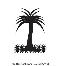 Palm tree in a tropical setting