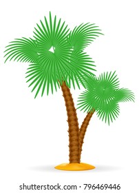 palm tree tropical stock vector illustration isolated on white background