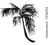 Palm Tree Vector