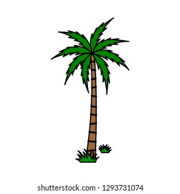 A palm tree vector.