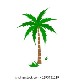 A palm tree vector.