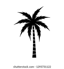 A palm tree vector.