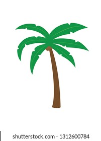 Palm tree Vector 