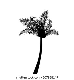 palm tree. Vector